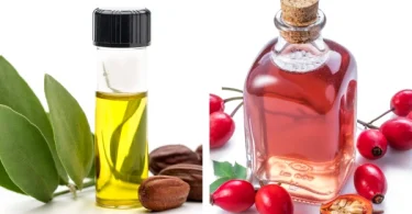 Jojoba vs. Rosehip Oil: Which Is Better for Anti-Aging?