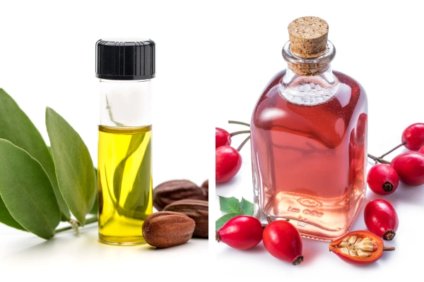 Jojoba vs. Rosehip Oil: Which Is Better for Anti-Aging?