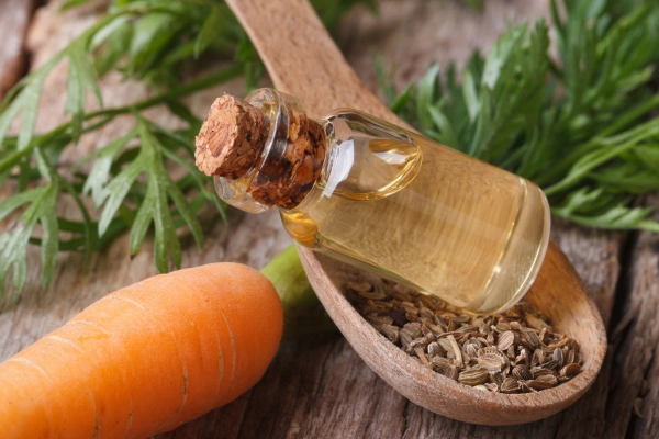 Carrot Seed Essential Oil