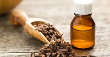 How to Use Clove Oil for Stronger Gums and Fresh Breath