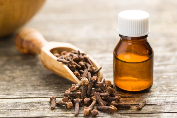 How to Use Clove Oil for Stronger Gums and Fresh Breath