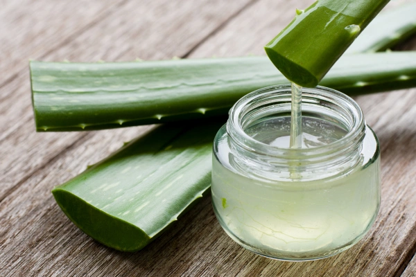 Aloe Vera: The Skin-Firming Queen