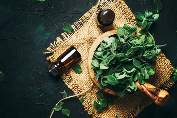 Oregano Oil