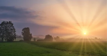 11 Morning Rituals That Can Change Your Life