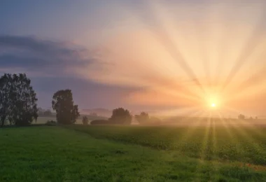11 Morning Rituals That Can Change Your Life